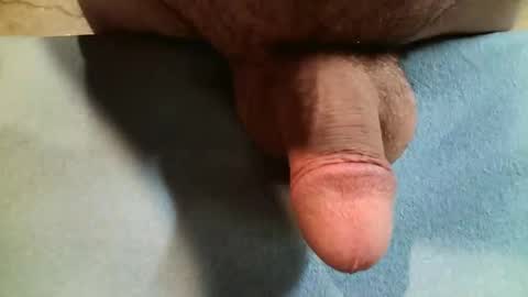 big7mushroom online show from February 18, 6:59 am