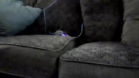 L e g a l    S t u f f Any UNAUTHORIZED use of this profile video pictures or audio in any form or in a forum now or in the fu online show from September 19, 7:09 am