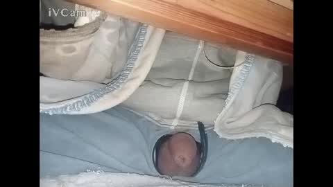 Big online show from February 4, 3:22 am