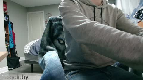 Snapshot of bigdickyduby chatting on January 11, 5:31 am George Forest Dickyduby on all Socials online show from January 11, 5:31 am