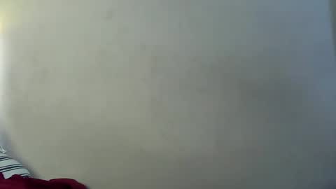 BiggBrotherrr online show from December 29, 1:56 am