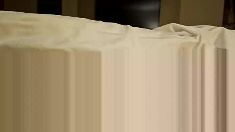 bigrobnob online show from January 28, 10:23 pm