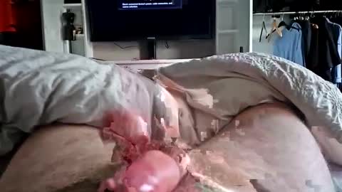 bigrobnob online show from January 26, 8:36 am