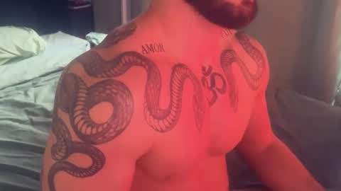 Gogo online show from November 26, 2:20 pm