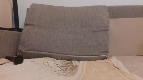 BigTitsBoyx1 online show from December 1, 7:06 pm