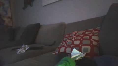 mygoosehonks online show from September 14, 10:28 am