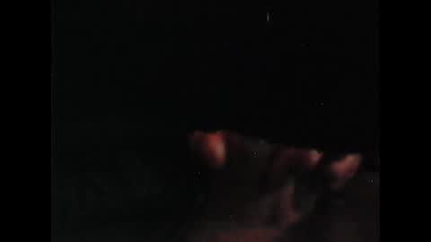 bilco03 online show from February 3, 12:10 pm