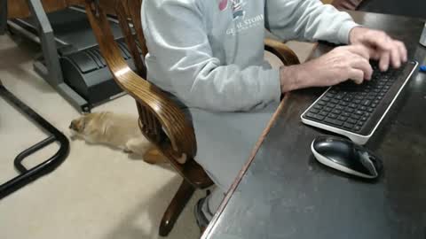 billy471 online show from February 8, 11:24 pm