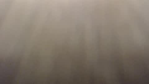 Billy online show from November 19, 5:02 pm