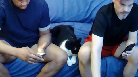 blackbob111 online show from November 1, 5:44 am