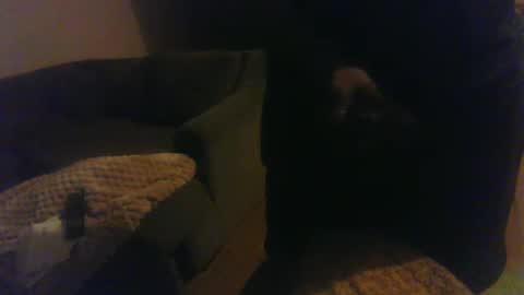 Snapshot of blongd2 chatting on March 2, 5:44 am blongd2 online show from March 2, 5:44 am