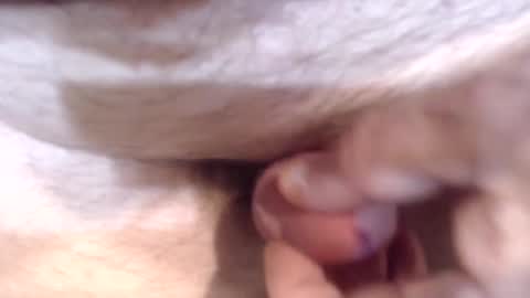 bobswan online show from December 26, 5:19 pm