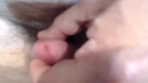 bobswan online show from January 27, 1:09 pm