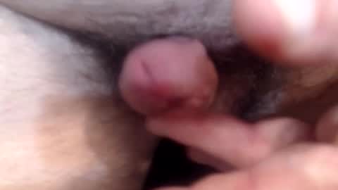 bobswan online show from February 9, 11:53 pm