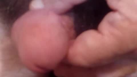 bobswan online show from October 21, 6:44 pm