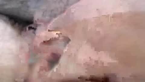 bobswan online show from January 24, 3:13 pm