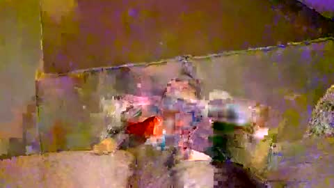 emilio online show from January 4, 7:34 am