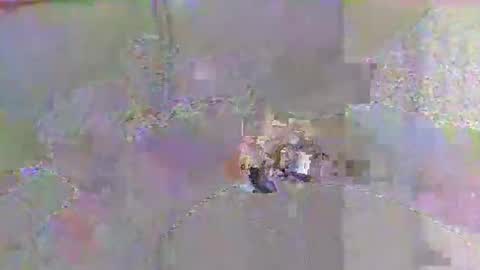 emilio online show from October 15, 7:16 am