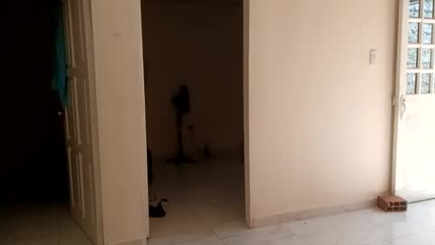 Boner Steve online show from January 18, 3:16 pm