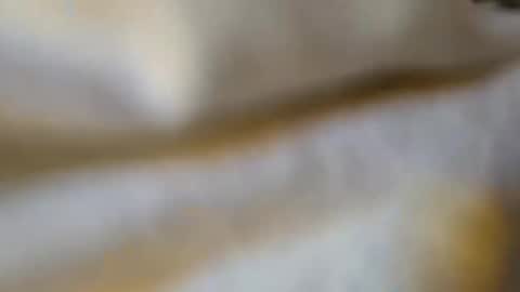 silky sissy sarah online show from February 23, 10:33 pm