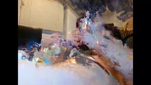 bonop1 online show from December 17, 6:02 am