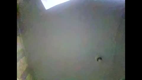 bonop1 online show from January 11, 3:52 pm