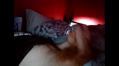 bonzoband online show from February 24, 12:59 pm