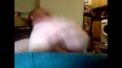 bonzoband online show from January 20, 1:39 am