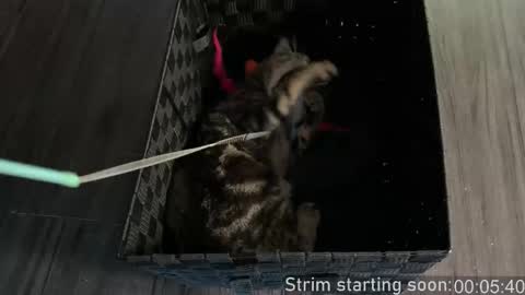 Booker Baxton online show from February 24, 4:02 am