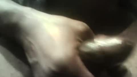 botofogo online show from September 11, 7:46 pm