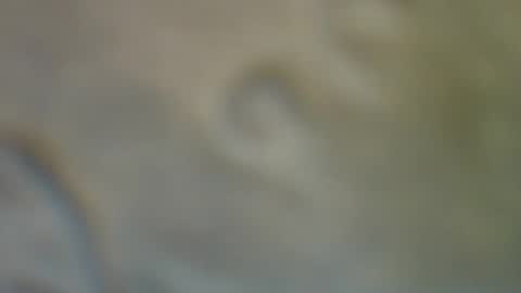 Snapshot of bradynoggle chatting on September 11, 2:54 am bradynoggle online show from September 11, 2:54 am