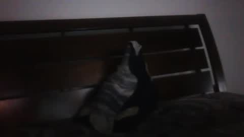 BRIANKONE97 online show from February 20, 4:28 am