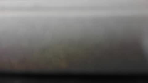 bubblensuck13 online show from January 3, 12:08 pm