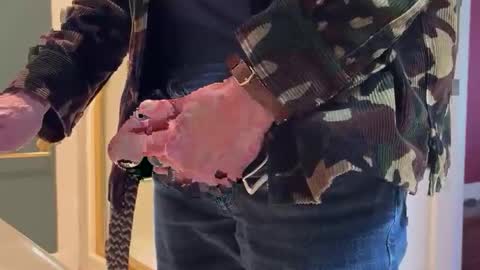 bucky58 online show from April 9, 4:24 pm