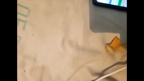 Bull online show from October 26, 2:46 am