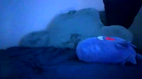 bwcandbbc online show from November 12, 8:20 am