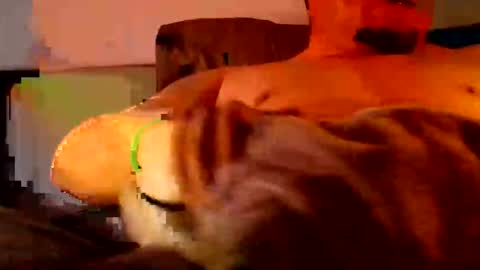 Charly online show from March 20, 1:53 am