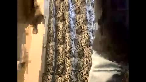 Snapshot of canadianwoody chatting on January 1, 7:32 pm canadianwoody online show from January 1, 7:32 pm