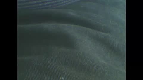 castells online show from February 21, 11:22 am