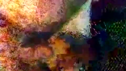 catdaddy179057 online show from March 6, 11:18 am