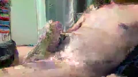 cerealthriller online show from December 15, 12:57 pm