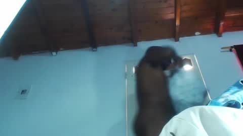 charly_vergonti_ online show from March 1, 5:16 pm