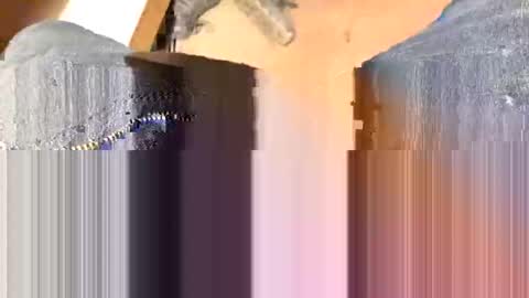 CHOdaddy online show from February 1, 1:09 pm