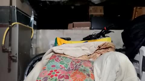 chuck7891 online show from February 6, 12:07 am