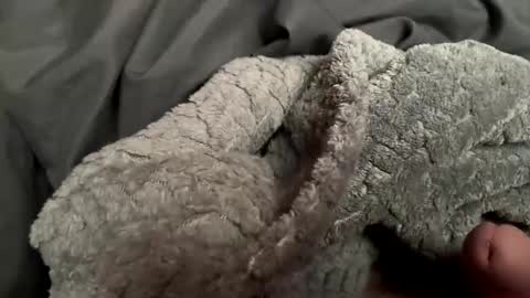 cjsalsso online show from March 15, 6:36 pm