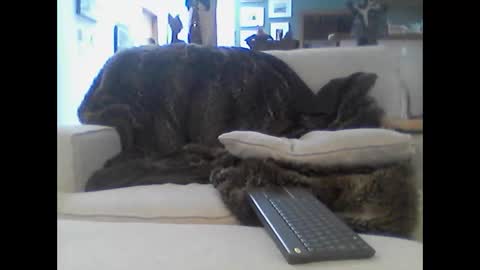 clitboy658752 online show from January 14, 9:51 pm