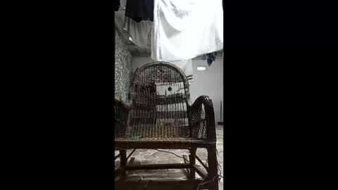 cmeza2108 online show from May 21, 2:51 am