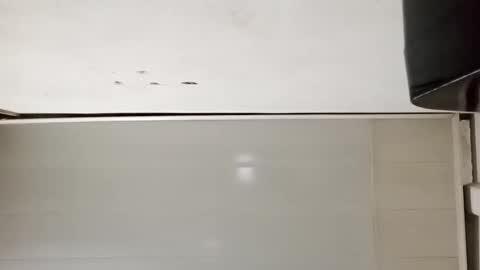 cokaghost777 online show from October 29, 2:36 am