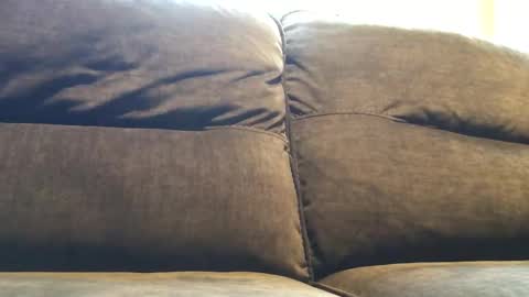 combu2 online show from September 9, 7:24 pm