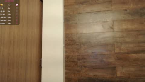 connor_h1 online show from January 15, 3:33 am